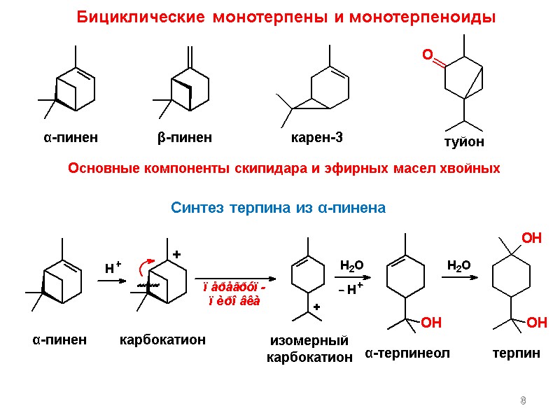 8 α-пинен β-пинен карен-3 Основные компоненты скипидара и эфирных масел хвойных Синтез терпина из
